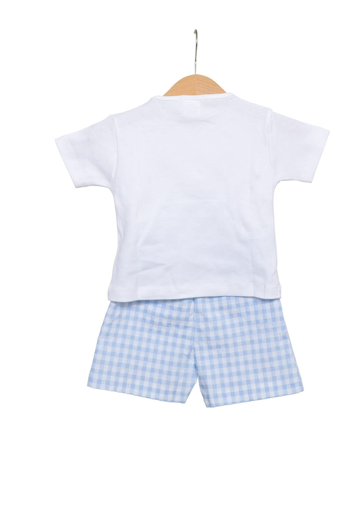 T-shirtje met twee blauwe visjes en blauw wit geruite korte broek
