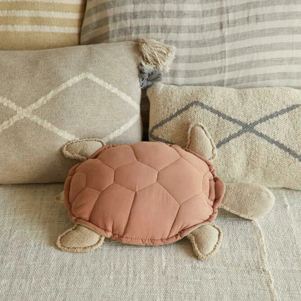 Een lichtbruine schildpad kussen