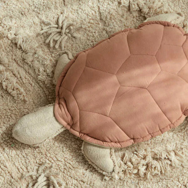 Een licht bruine schildpad kussen