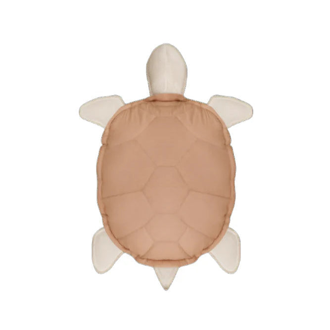 Een lichtbruin schildpad kussen