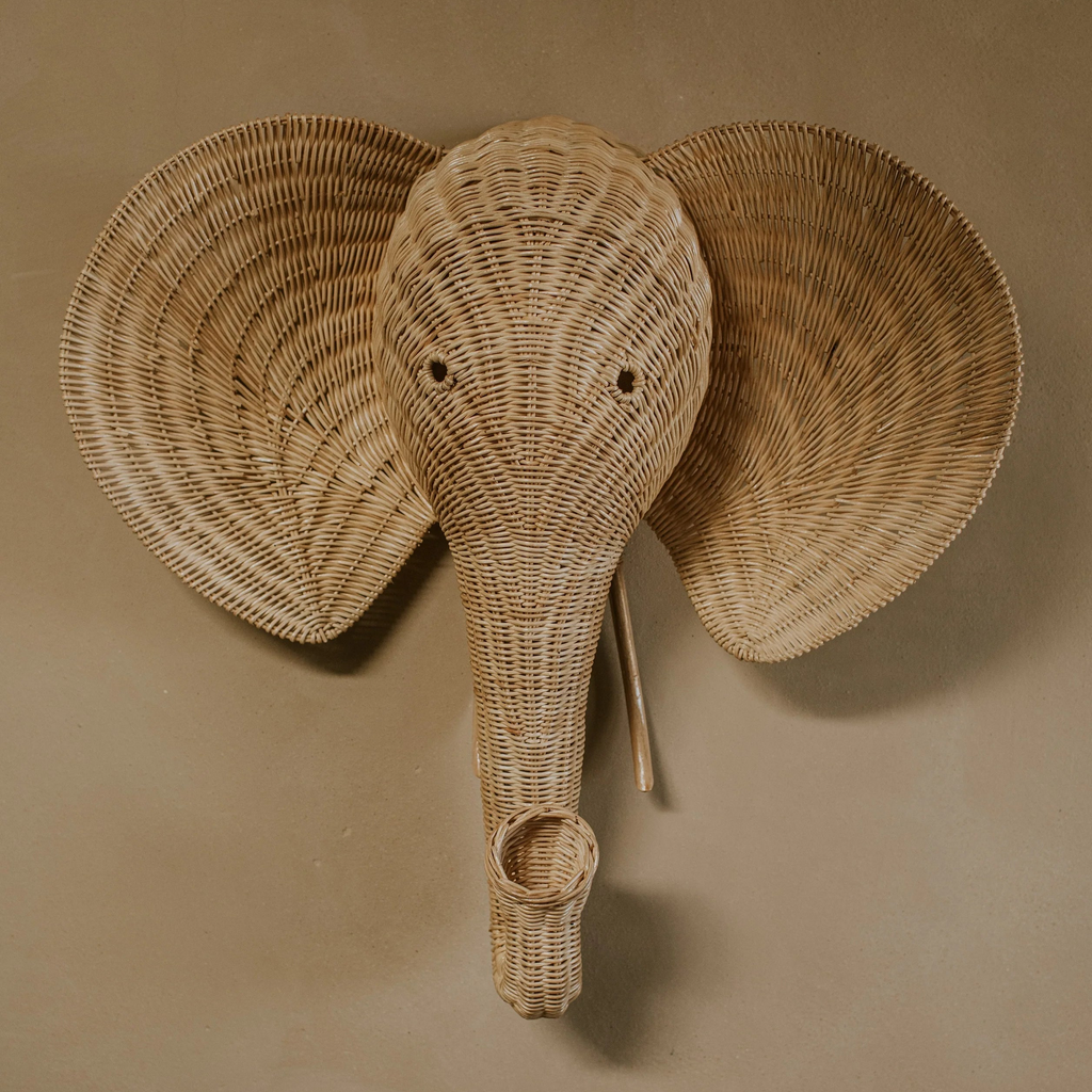 Rotan Olifantenhoofd