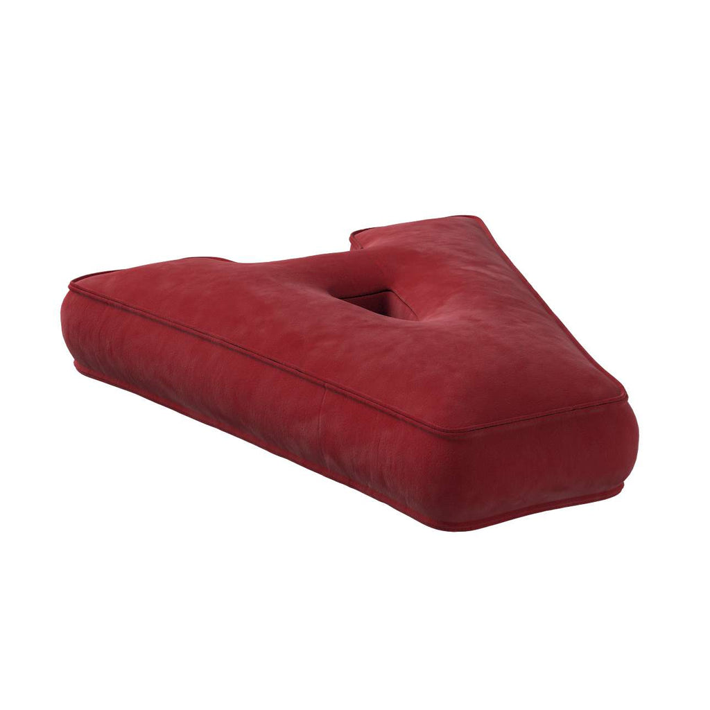 Letterkussens velvet rood